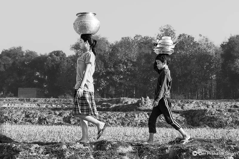 Children returning home from a traditional spring source with headloads of water and cleaned utensils across agricultural fields in Khunti district